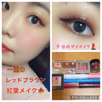 ピグメント/BBIA/アイシャドウパレットを使ったクチコミ(1枚目)