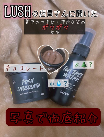 ポッシュチョコレート/ラッシュ/ボディソープを使ったクチコミ(1枚目)