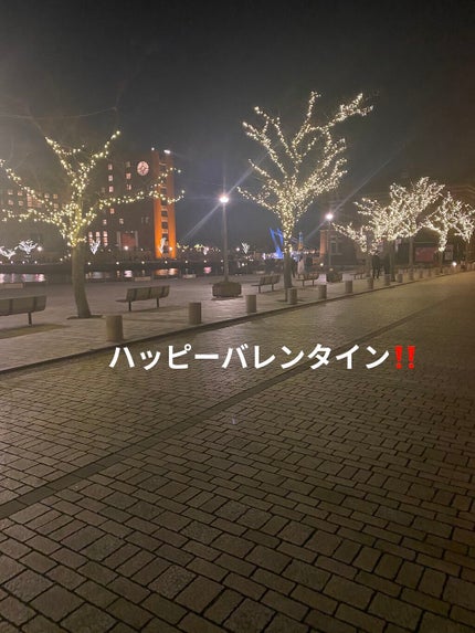 ラベンダースクワラン/HABA/フェイスオイルを使ったクチコミ(6枚目)