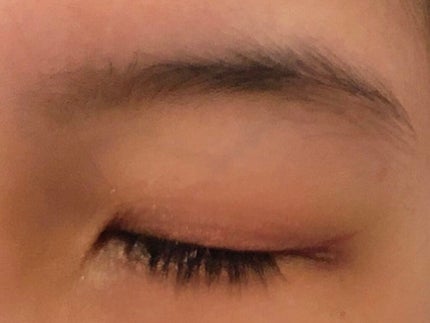 パーフェクトスタイリストアイズ/キャンメイク/アイシャドウパレットを使ったクチコミ(1枚目)