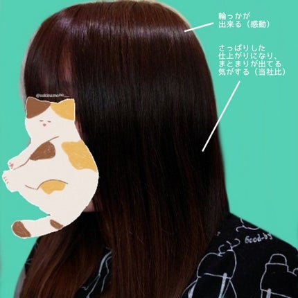 ハイドロミストN/plus eau/アウトバストリートメントを使ったクチコミ(3枚目)