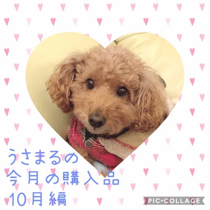 スペルバインダー シャドウ/M・A・C/単色アイシャドウを使ったクチコミ(1枚目)