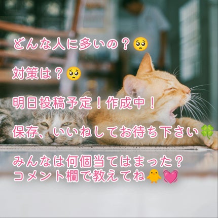 ðãŸã/ãã©ããð on LIPS ãðã¿ããªã§äºæç
ãã§ãã¯ïŒðã¡ãªã¿ã«ãŸãã¯æ¥ã«ã¹ãã¬ã¹ãæãã..ãïŒ8æç®ïŒ