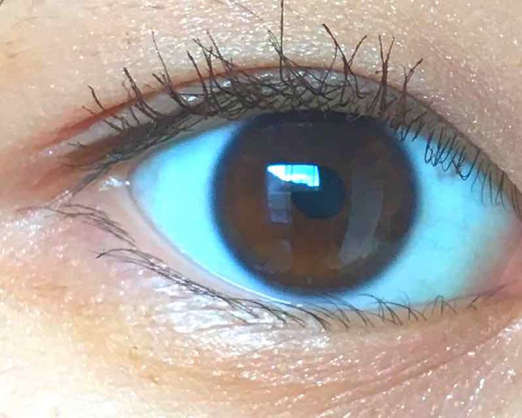 ラッシュマキシマイザーN/KATE/マスカラ下地を使ったクチコミ（2枚目）