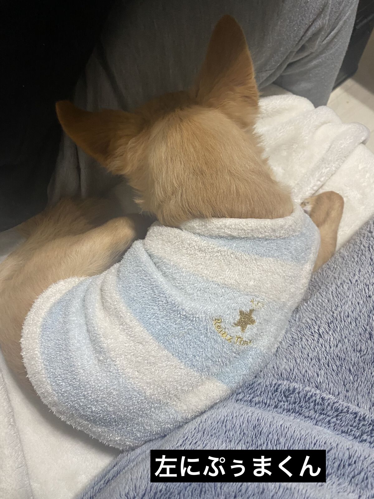 ネイルホリック アート/ネイルホリック/マニキュアを使ったクチコミ（3枚目）