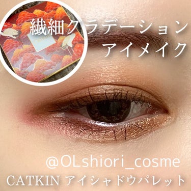 長相思シリーズ 9色アイシャドウパレット/CATKIN/アイシャドウパレットを使ったクチコミ（1枚目）