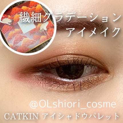 長相思シリーズ 9色アイシャドウパレット/CATKIN/アイシャドウパレットを使ったクチコミ(1枚目)