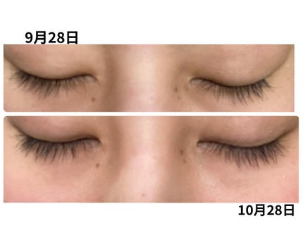 ラッシュアディクト アイラッシュコンディショニングセラム/soaddicted/まつげ美容液を使ったクチコミ(3枚目)