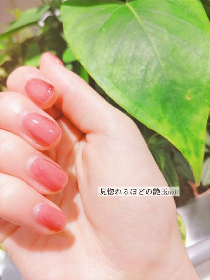 BRG ジェルネイル 21 ブラウンレッド/DAISO/ジェルネイルを使ったクチコミ(2枚目)