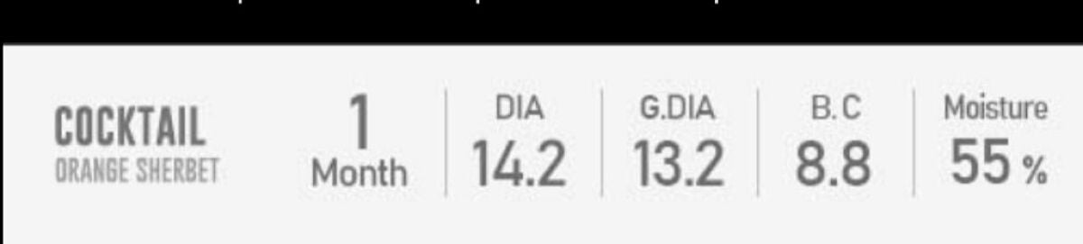 カラコンぴあ/カラコンぴあ/カラーコンタクトレンズを使ったクチコミ(5枚目)