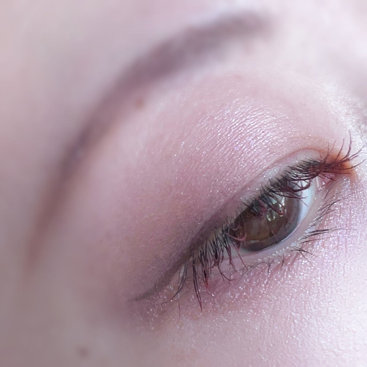 コンスピキュアス アイズ/Amplitude/アイシャドウパレットを使ったクチコミ(8枚目)