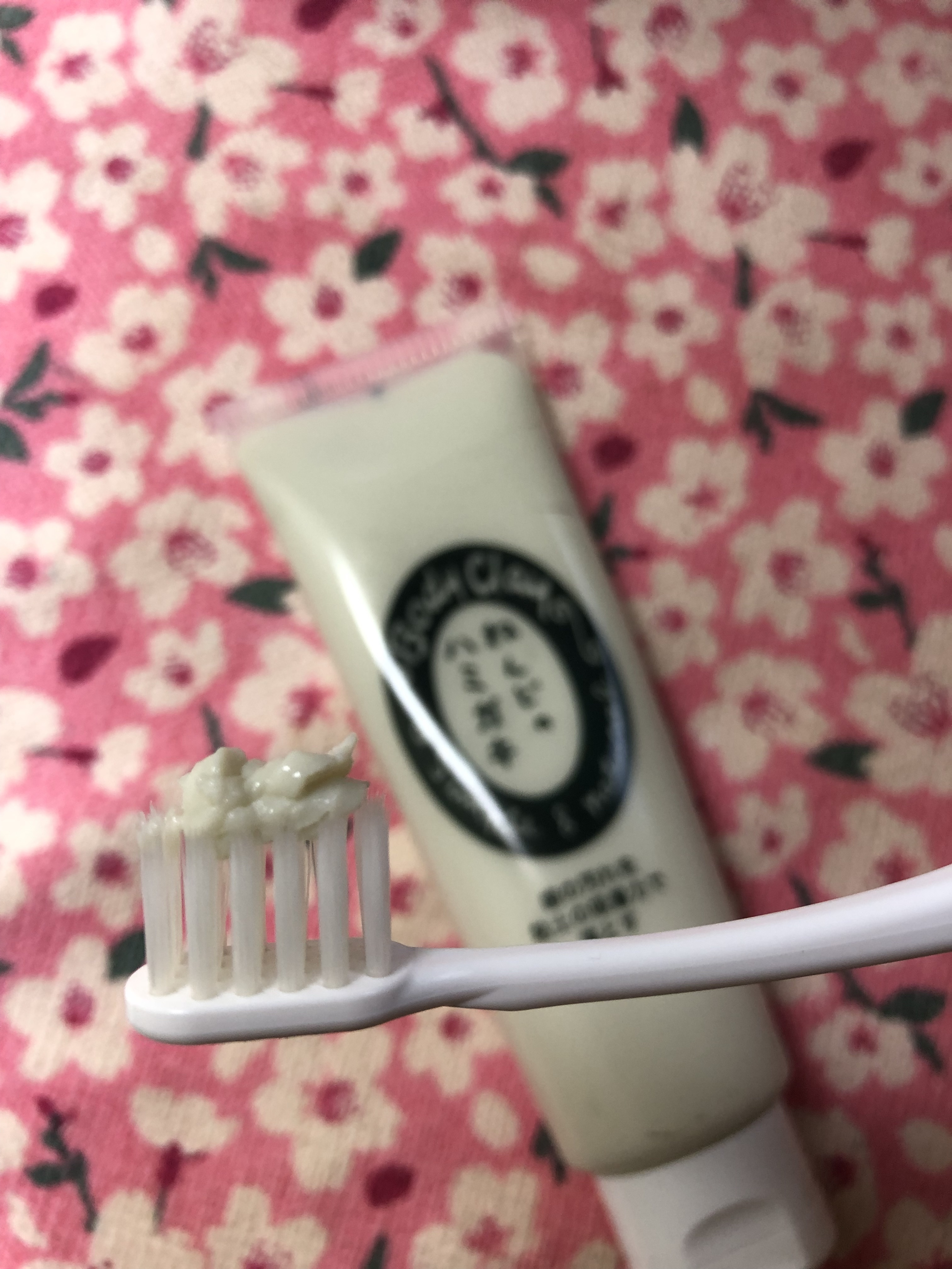 ねんどのハミガキ/ボディクレイ/歯磨き粉を使ったクチコミ（2枚目）