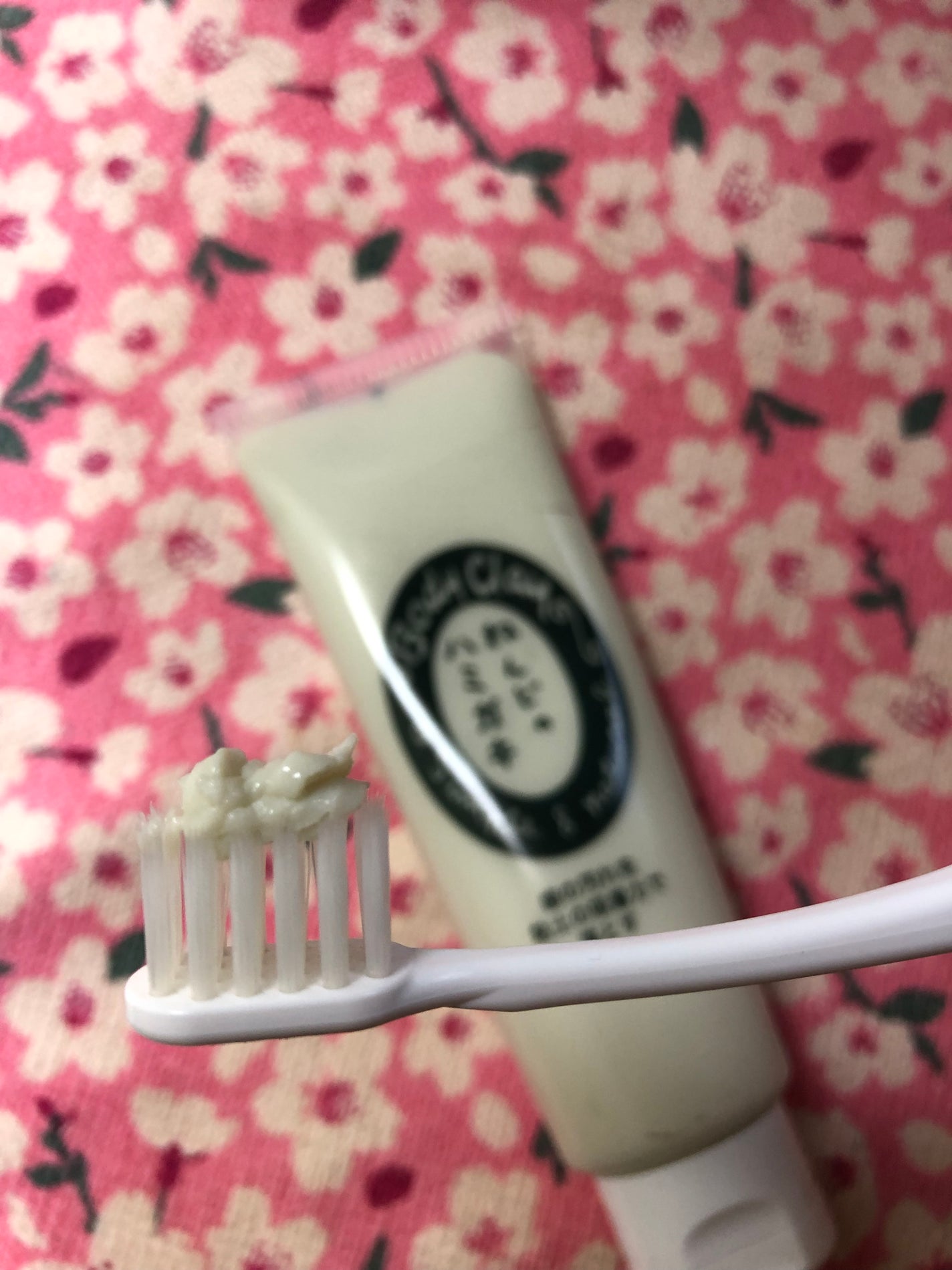 ねんどのハミガキ/ボディクレイ/歯磨き粉を使ったクチコミ(2枚目)