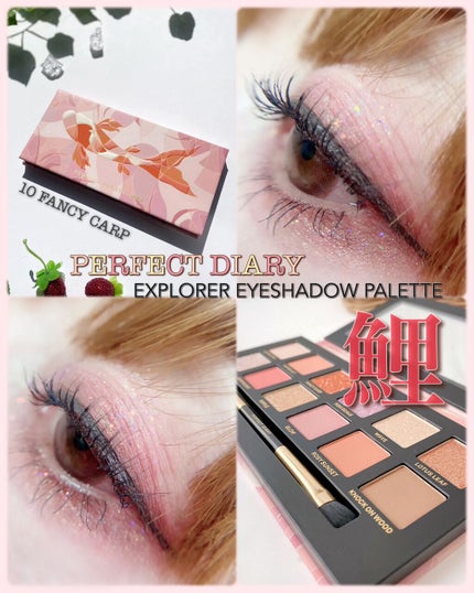 エクスプローラ12色 動物アイシャドウパレット/PERFECT DIARY/アイシャドウパレットを使ったクチコミ(1枚目)