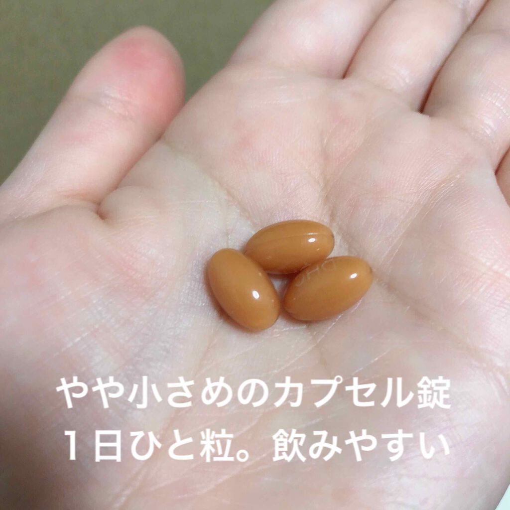 セラミド モイスチュア/DHC/美容サプリメントを使ったクチコミ(3枚目)