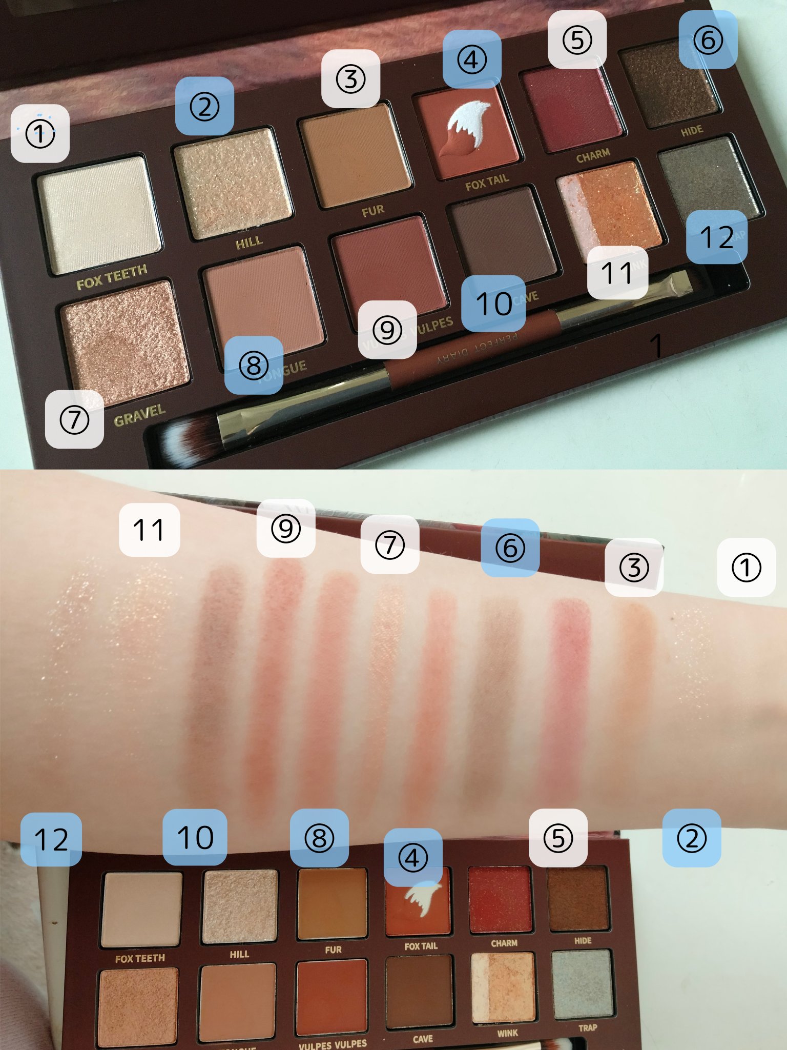 エクスプローラ12色 動物アイシャドウパレット/PERFECT DIARY/アイシャドウパレットを使ったクチコミ（2枚目）