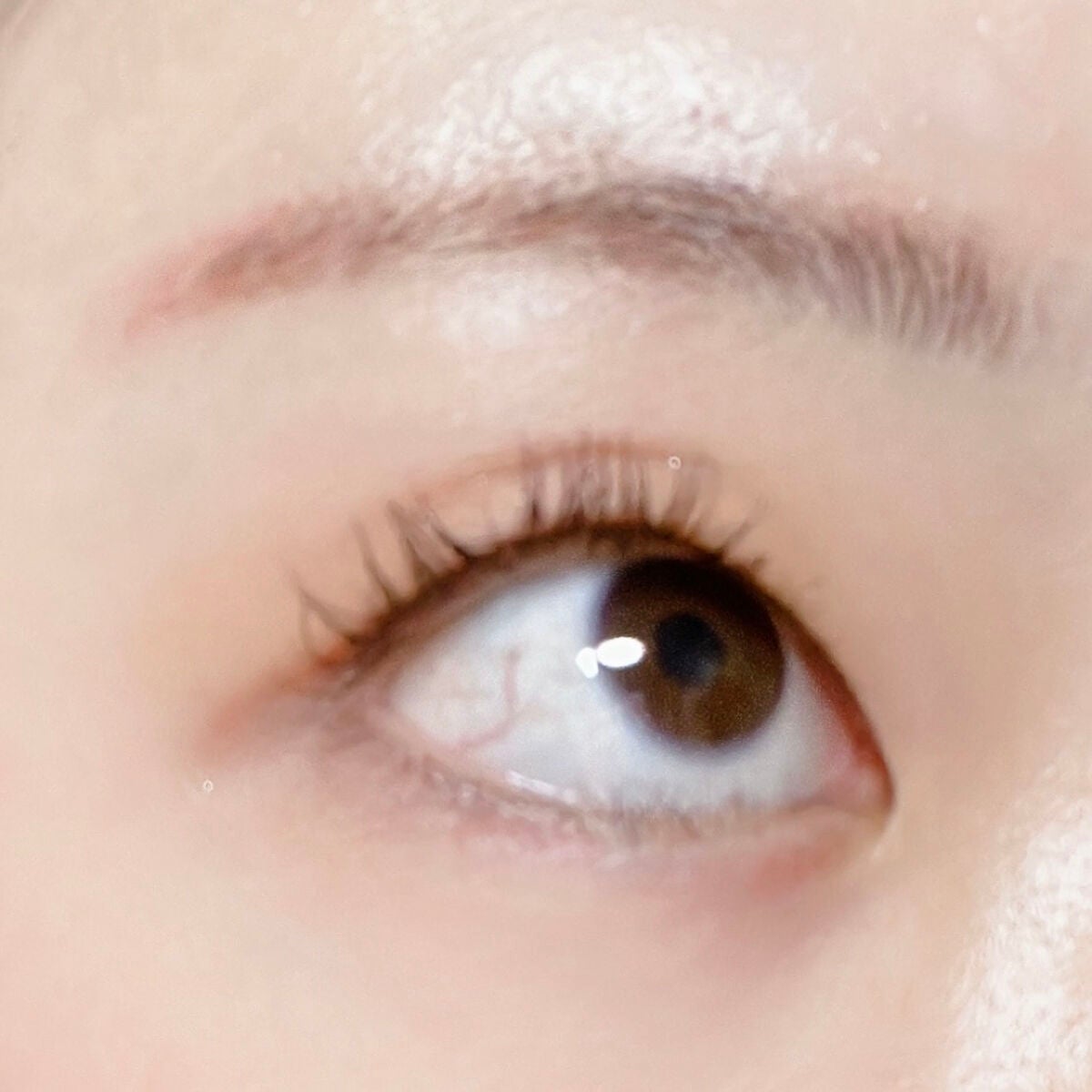 「塗るつけまつげ」自まつげ際立てタイプ/デジャヴュ/マスカラを使ったクチコミ(4枚目)