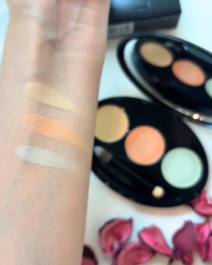 マスクフィット コンシーラーパレット/TIRTIR(ティルティル)/パレットコンシーラーを使ったクチコミ(4枚目)