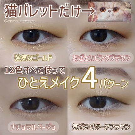 エクスプローラ12色 動物アイシャドウパレット/PERFECT DIARY/アイシャドウパレットを使ったクチコミ(1枚目)