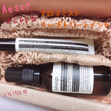 Cedar & Citrus Lip Treatment/Aesop/リップケア・リップクリームを使ったクチコミ（1枚目）