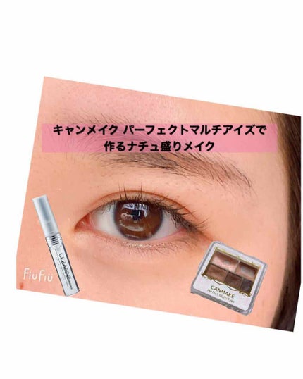 パーフェクトマルチアイズ/キャンメイク/アイシャドウパレットを使ったクチコミ(1枚目)