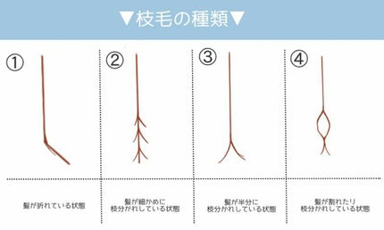 モイストリペア ヘアトリートメント/mixim Perfume/シャンプー・コンディショナーを使ったクチコミ(2枚目)