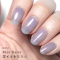 WF57 幸せをあなたに(Blue Daisy)