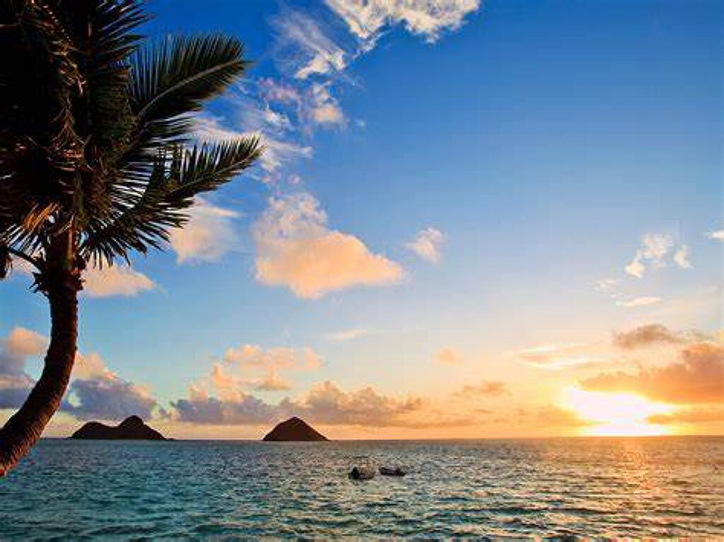 雷 on LIPS 「こんにちは! 現役高校1年の雷です! (雷と書いて【らい】とよ..」(1枚目)