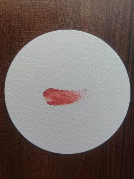 ホリデー アディクション サイレント ウィッシュⅡ /ADDICTION/メイクアップキットを使ったクチコミ(6枚目)