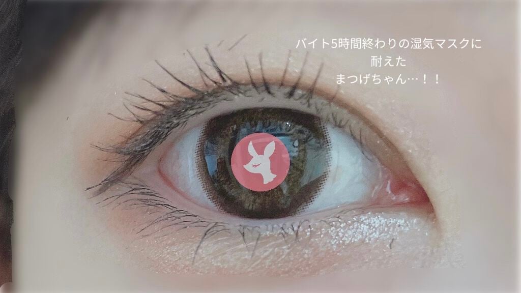 マスカラ プライマー & トップ コート/ANNA SUI/マスカラ下地を使ったクチコミ(2枚目)