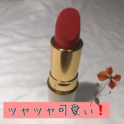 ラスティング リップカラーN/CEZANNE/口紅を使ったクチコミ(3枚目)