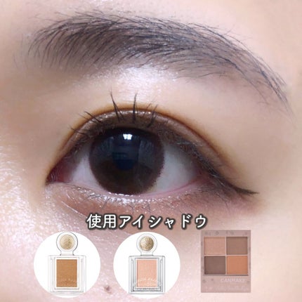 シルキースフレアイズ(マットタイプ)/キャンメイク/アイシャドウパレットを使ったクチコミ(2枚目)