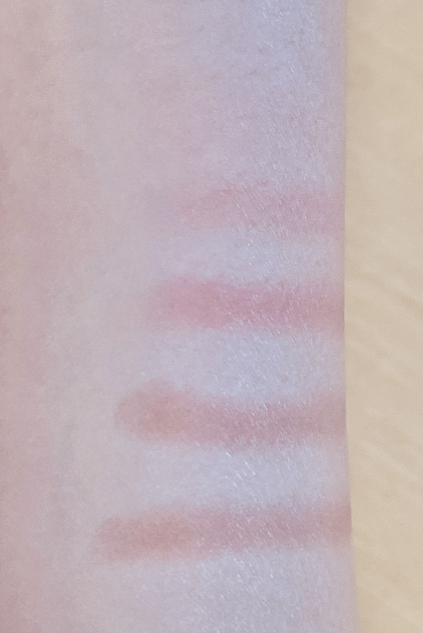 パーフェクトマルチアイズ/キャンメイク/アイシャドウパレットを使ったクチコミ（3枚目）