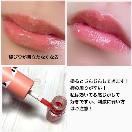 HOTOMI リッププランパー/HOTOMI/リッププランパーを使ったクチコミ(6枚目)