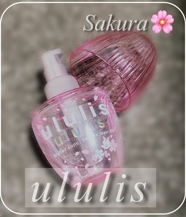 ウォーターコンク モイストヘアオイル 桜ver./ululis/ヘアオイルを使ったクチコミ（1枚目）