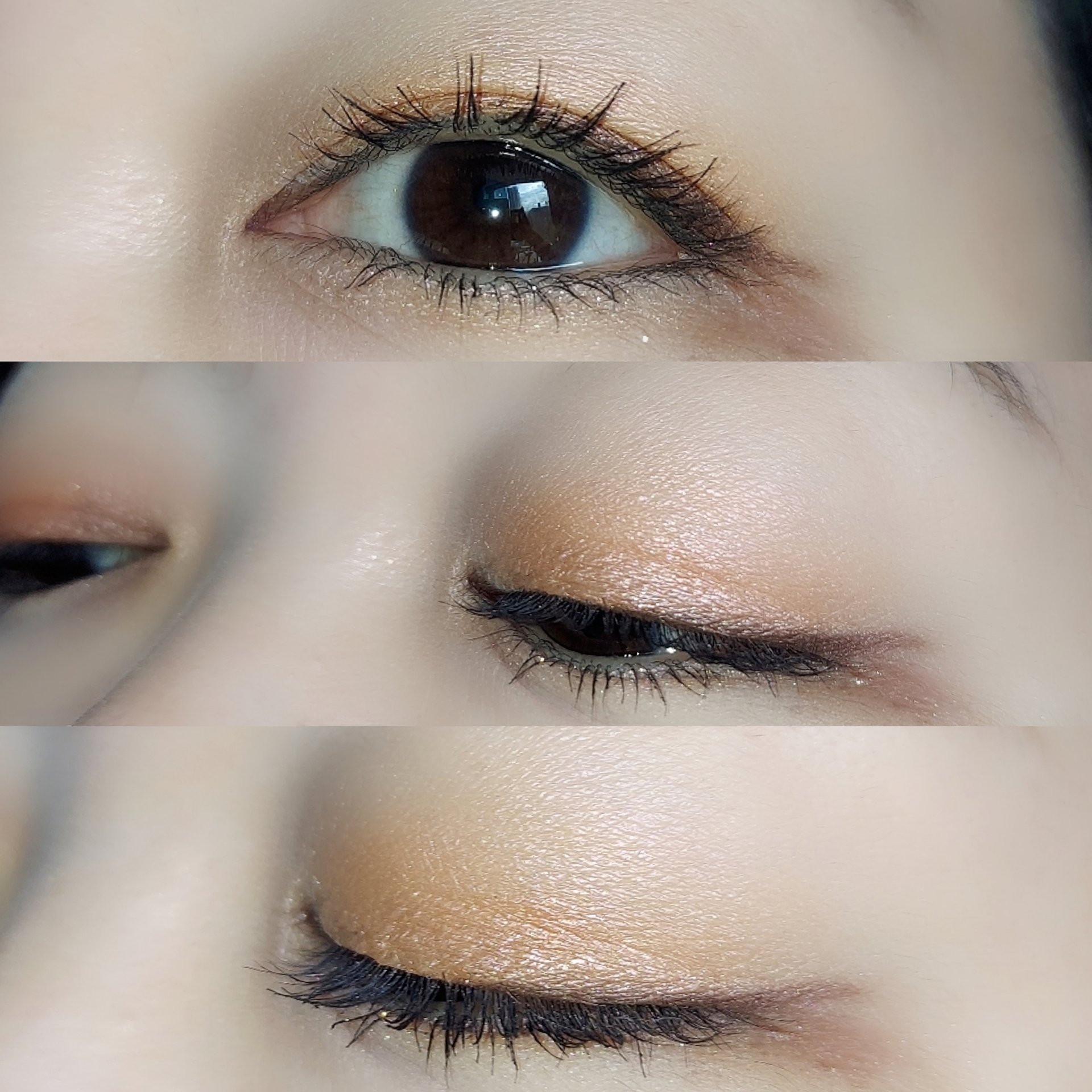 スキンフィットチーク RS1 エレガントローズ/リサージ/パウダーチークを使ったクチコミ（3枚目）