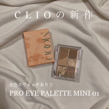 プロ アイパレット ミニ/CLIO/アイシャドウパレットを使ったクチコミ（1枚目）