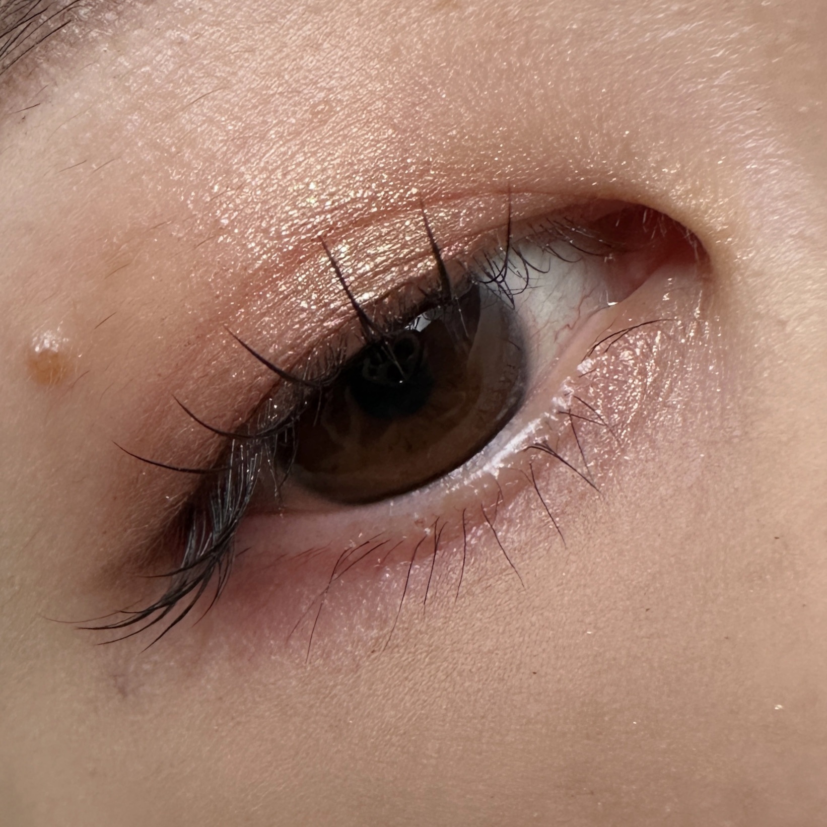 Eyeshadow 5 Colour Compacts/BYREDO/アイシャドウパレットを使ったクチコミ（3枚目）