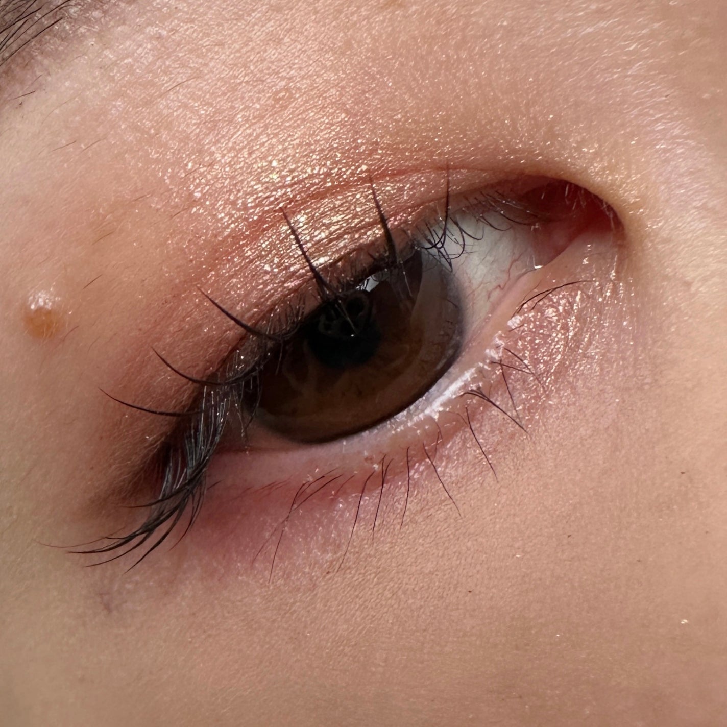 ダズルシャドウ/M・A・C/単色アイシャドウを使ったクチコミ(3枚目)