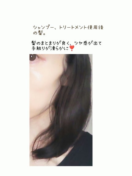 ã¶ãã¥ãŒã㣠ãªãã¢ã·ã£ã³ããŒã»ã³ã³ãã£ã·ã§ããŒ/ãšãã»ã³ã·ã£ã«/åžè²©ã·ã£ã³ããŒã䜿ã£ãã¯ãã³ãïŒ3æç®ïŒ