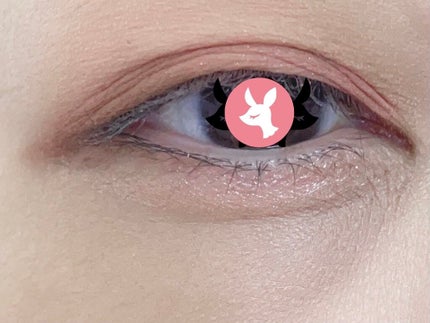 アニマルアイシャドウ(4シェード)/ZEESEA/アイシャドウパレットを使ったクチコミ(3枚目)