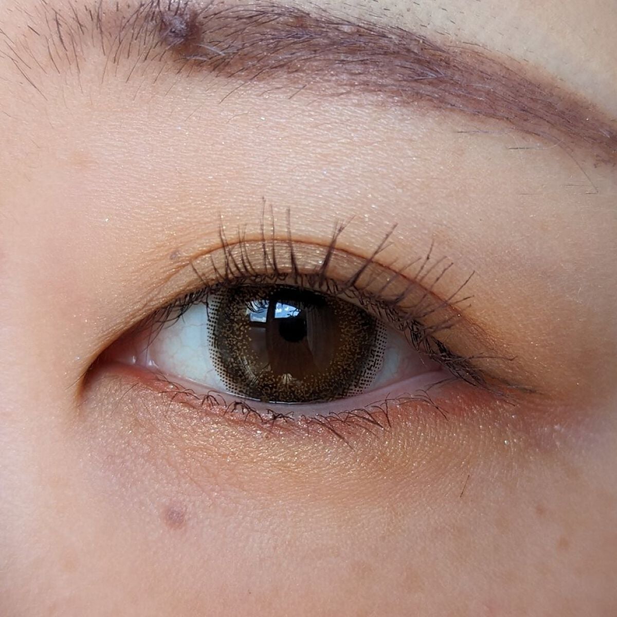 デザイニングブラウンアイズ/KATE/アイシャドウパレットを使ったクチコミ(4枚目)