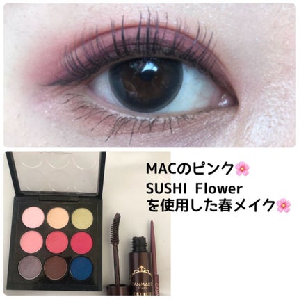 ゴクブトマスカラ/キャンメイク/マスカラを使ったクチコミ(1枚目)