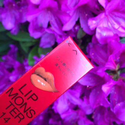 ケイト リップモンスター/KATE/口紅を使ったクチコミ(1枚目)