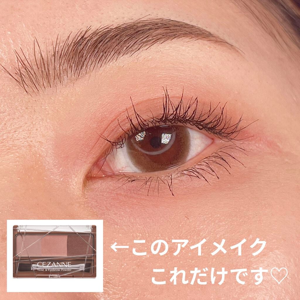 ノーズ&アイブロウパウダー/CEZANNE/パウダーアイブロウを使ったクチコミ(1枚目)