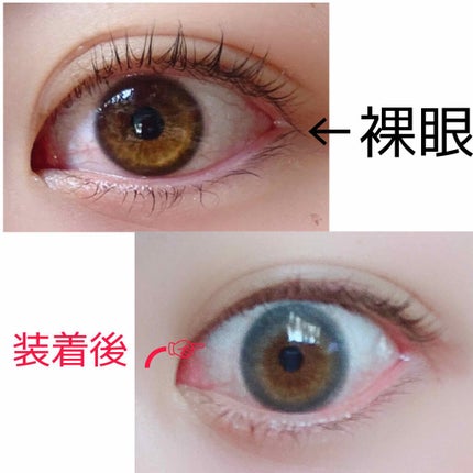 TOPARDS 1day/TOPARDS/ワンデー(1DAY)カラコンを使ったクチコミ(2枚目)