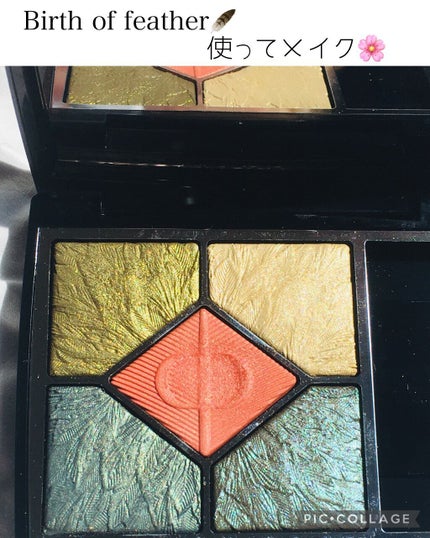 サンク クルール クチュール<バーズ オブ ア フェザー>/Dior/アイシャドウパレットを使ったクチコミ(1枚目)