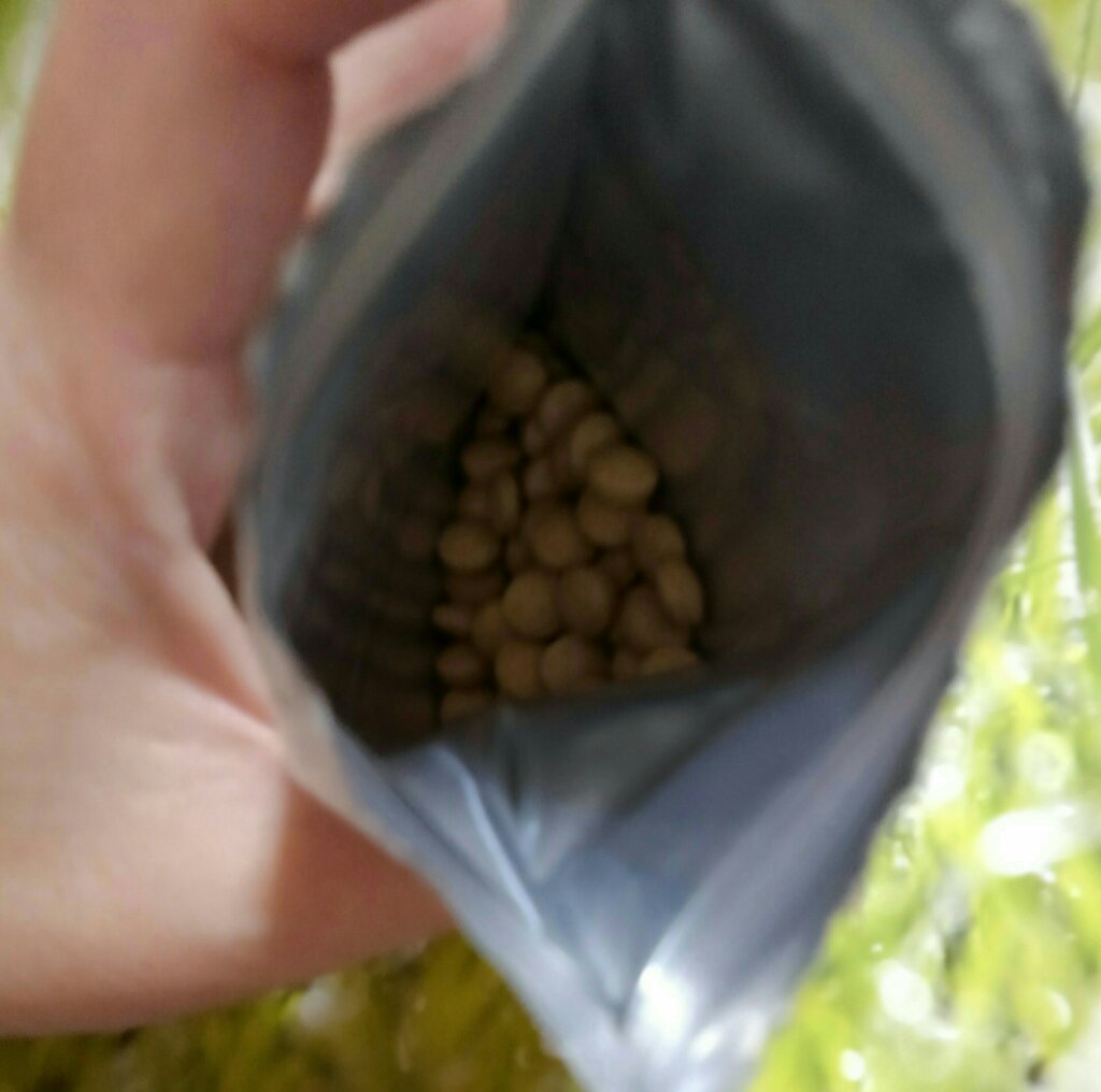 リゲインスリムマネージ/第一三共ヘルスケア/ボディサプリメントを使ったクチコミ（3枚目）