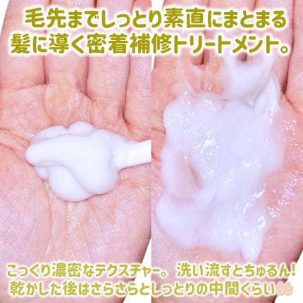 ディープモイスト シャンプー/トリートメント シャンプー490ml/NALOW/市販シャンプーの画像