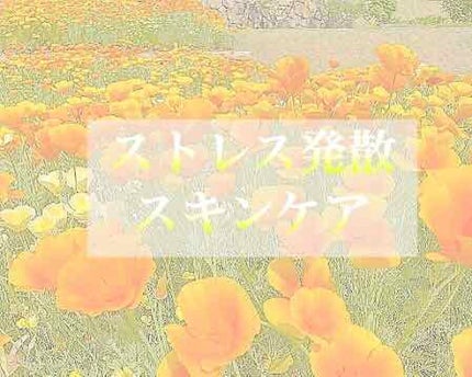 VC100エッセンスローション/ドクターシーラボⓇ/化粧水を使ったクチコミ(1枚目)